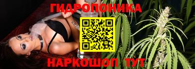 гидра Кулебаки