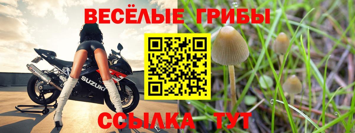 Псилоцибиновые грибы Psilocybe  Вход с VPN  Жигулёвск 
